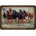 Schild Spruch "Welcome Friends" Pferde 20 x 30 cm