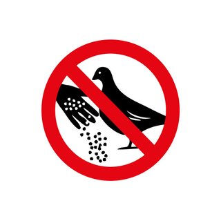 Hinweisschild "Tauben bitte nicht füttern" 20 x 30 cm 