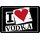 Schild Spruch "I love Vodka" 20 x 30 cm 