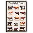 Schild Motiv "Weidekühe" Arten 20 x 30 cm