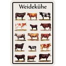 Schild Motiv "Weidekühe" Arten 20 x 30 cm 