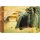 Schild Motiv "Hamburg American Line, Imperator, largest Ship" 20 x 30 cm