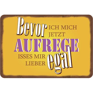 Schild Spruch "Bevor ich mich jetzt aufrege isses mir egal" 20 x 30 cm