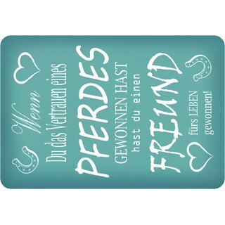 Schild Spruch "Wenn du das Vertrauen Pferdes gewonnen" 20 x 30 cm
