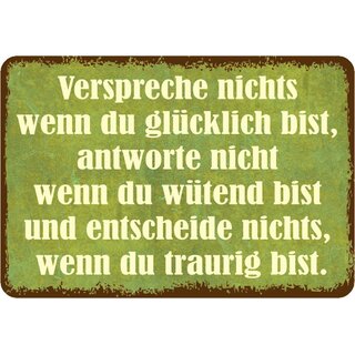 Schild Spruch "Verspreche nichts wenn du glücklich bist" 20 x 30 cm 