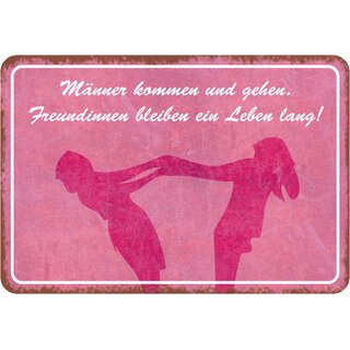 Schild Spruch "Männer kommen gehen, Freundinnen bleiben" 20 x 30 cm 