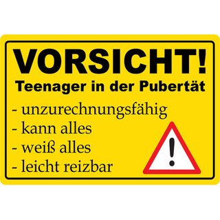 Schild Spruch "Vorsicht, Teenager in der Pubertät" 20 x 30 cm