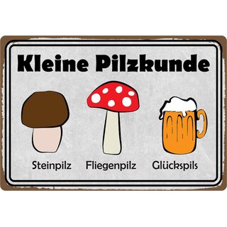 Schild Spruch "Kleine Pilzkunde, Steinpilz Fliegenpilz Glückspils" 20 x 30 cm 