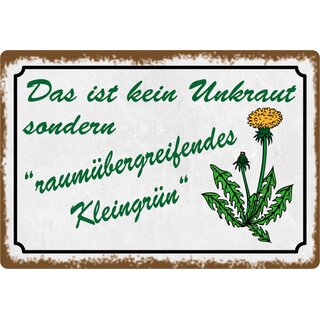 Schild Spruch "kein Unkraut sondern raumübergreifendes Kleingrün" 20 x 30 cm 