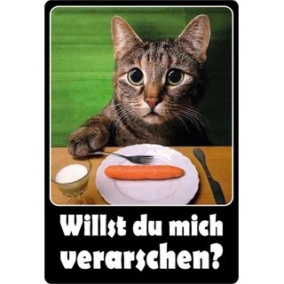 Schild Spruch "Willst du mich verarschen" Katze 20 x 30 cm 