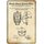 Schild Motiv "Baseball Maske, Design base-ball mask, Rooney" 20 x 30 cm
