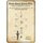 Schild Motiv "Design Croquet Game, Wisconsin" 20 x 30 cm