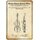 Schild Motiv "Design for a violin, Violine Streichinstrument Patent" 20 x 30 cm 