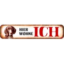 Schild Spruch "Hier wohne ich" Pointer 46 x 10 cm