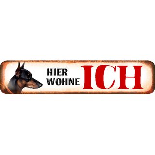 Schild Spruch "Hier wohne ich" Pincher Dobermann 46 x 10 cm