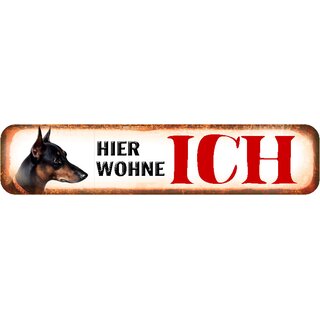 Schild Spruch "Hier wohne ich" Pincher Dobermann 46 x 10 cm 