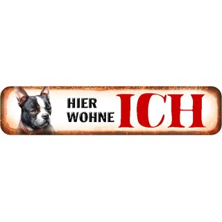 Schild Spruch "Hier wohne ich" Französische Bulldogge 46 x 10 cm