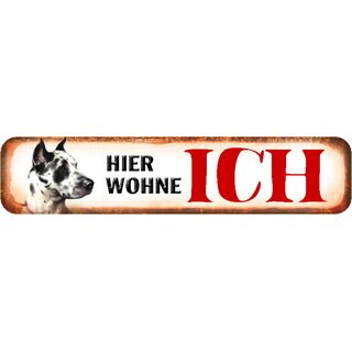 Schild Spruch "Hier wohne ich" Dogge 46 x 10 cm