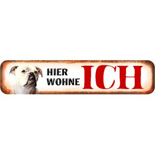 Schild Spruch "Hier wohne ich" Bulldogge 46 x 10 cm