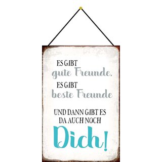 Schild Spruch Gute Freunde, Beste Freunde und Dich 20 x 30 cm Blechschild mit Kordel