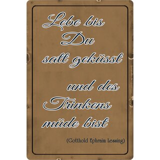 Schild Spruch "Lebe bis du satt geküsst und des Trinkens müde bist" 20 x 30 cm