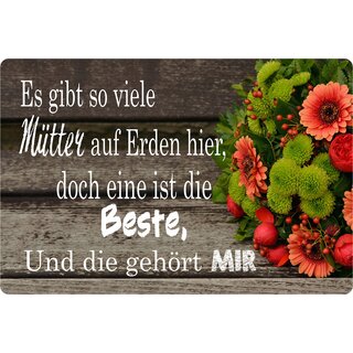 Schild Spruch "Mütter auf Erden, eine ist die Beste" 20 x 30 cm