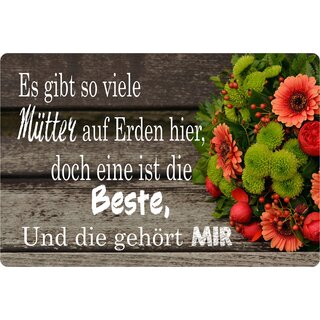 Schild Spruch "Mütter auf Erden, eine ist die Beste" 20 x 30 cm 