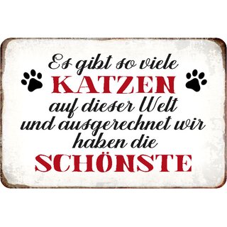 Schild Spruch "Viele Katzen, wir haben die Schönste" 20 x 30 cm 