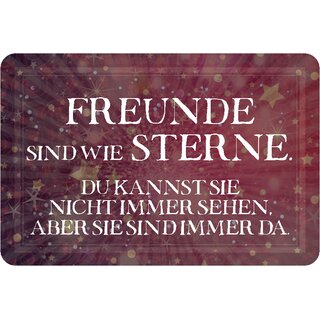 Schild Spruch "Freunde sind wie Sterne, nicht sehen, immer da" 20 x 30 cm 