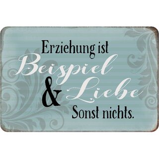 Schild Spruch "Erziehung ist Beispiel & Liebe sonst nichts" 20 x 30 cm 