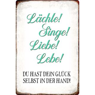 Schild Spruch "Lächle Singe Liebe Lebe" 20 x 30 cm 