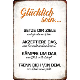 Schild Spruch "Glücklich sein, Setze Dir Ziele" 20 x 30 cm 