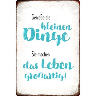 Schild Spruch "Genieße die kleinen Dinge, Leben großartig" 20 x 30 cm