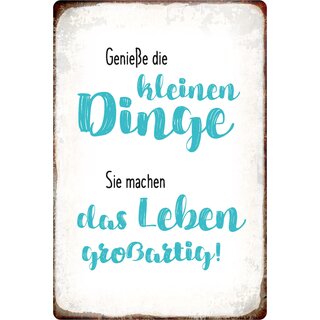 Schild Spruch "Genieße die kleinen Dinge, Leben großartig" 20 x 30 cm 