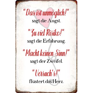 Schild Spruch "Das ist unmöglich, zu viel Risiko, macht keinen Sinn" 20 x 30 cm