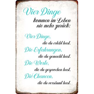 Schild Spruch "Vier Dinge kommen im Leben nie mehr zurück" 20 x 30 cm