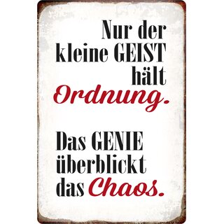 Schild Spruch "Geist hält Ordnung, Genie überblickt Chaos" 20 x 30 cm 