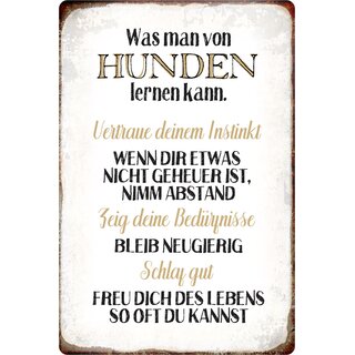 Schild Spruch "Was man von Hunden lernen kann" 20 x 30 cm 