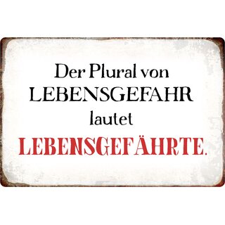 Schild Spruch "Der Plural von Lebensgefahr lautet Lebensgefährte" 20 x 30 cm 