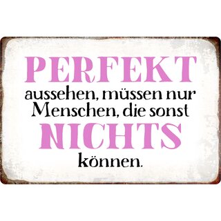Schild Spruch "Perfekt aussehen Menschen die nichts können" 20 x 30 cm