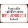 Schild Spruch "Viel öfter Mutausbruch haben" 20 x 30 cm