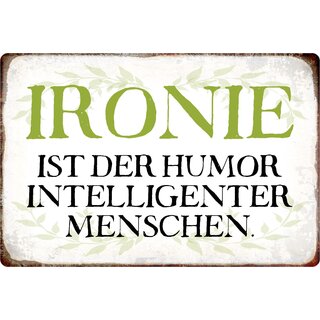 Schild Spruch "Ironie Humor intelligenter Menschen" 20 x 30 cm 