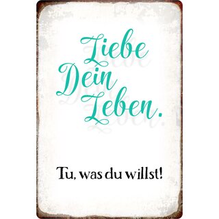 Schild Spruch "Liebe Dein Leben. Tu was Du willst!" 20 x 30 cm 