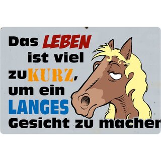 Schild Spruch "Leben zu kurz um langes Gesicht zu machen" 20 x 30 cm 