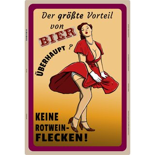 Schild Spruch "Vorteil Bier keine Rotweinflecken" 20 x 30 cm
