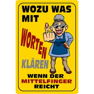 Schild Spruch "Wozu mit Worten klären, Mittelfinger reicht" 20 x 30 cm