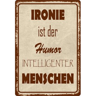 Schild Spruch "Ironie ist Humor intelligenter Menschen" 20 x 30 cm 