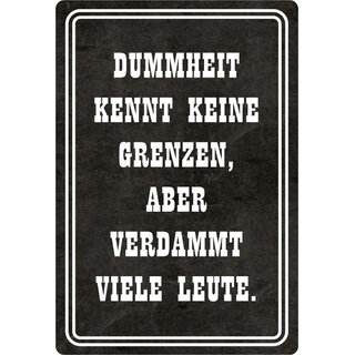 Schild Spruch "Dummheit kennt keine Grenzen" 20 x 30 cm 