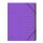 EXACOMPTA Ordnungsmappe - 7 Fächer, A4, Karton, violett