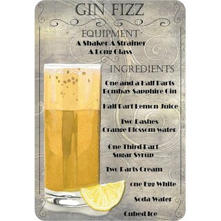 Schild Motiv "Gin Fizz Rezept" 20 x 30 cm Blechschild